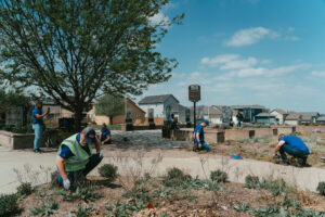 People wearing gloves and blue shirts are planting and weeding in a landscaped public area near houses on a sunny day.